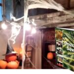 chambre des sorciers et toiles d'araignées en Deux-Sèvres