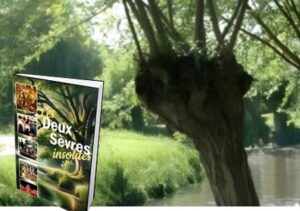 Marais poitevin fête locale