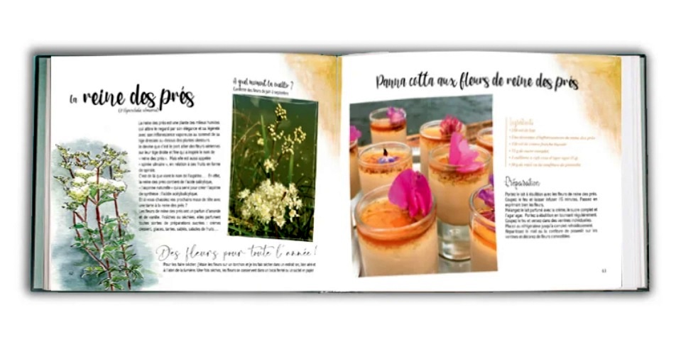 plantes sauvages comestibles et recettes