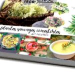 plantes sauvages comestibles